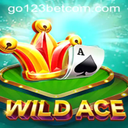 Exploring WildAce: A Captivating Gaming Experience